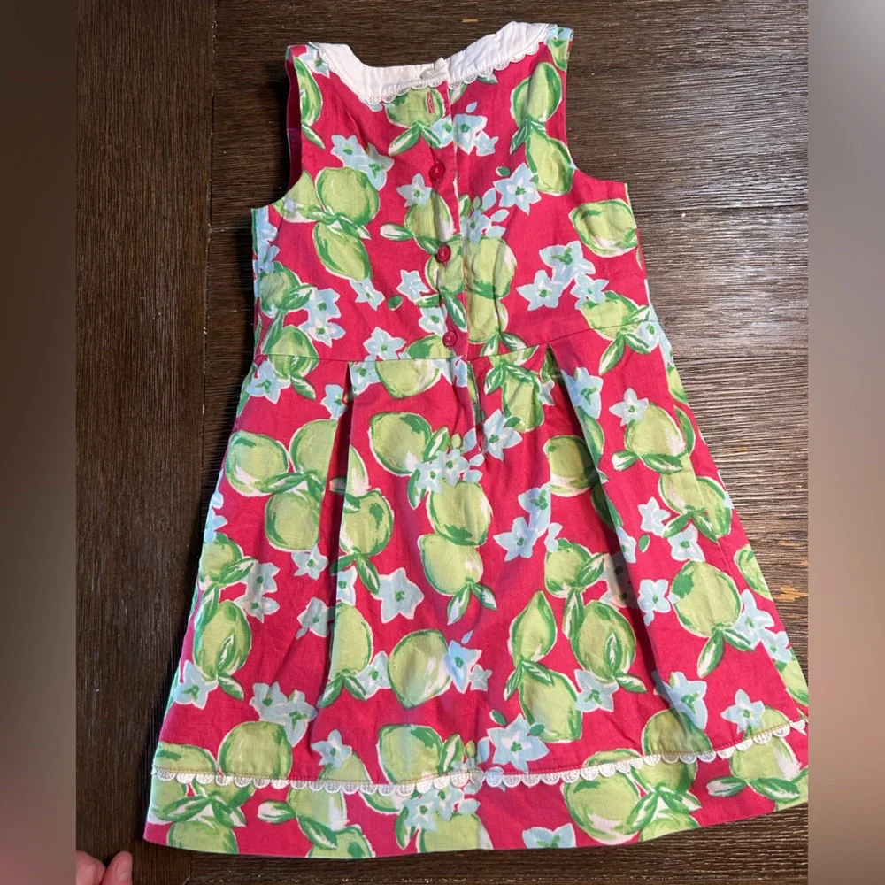 Janie and Jack Lime print Dress size 4 - Picture 3 of 9